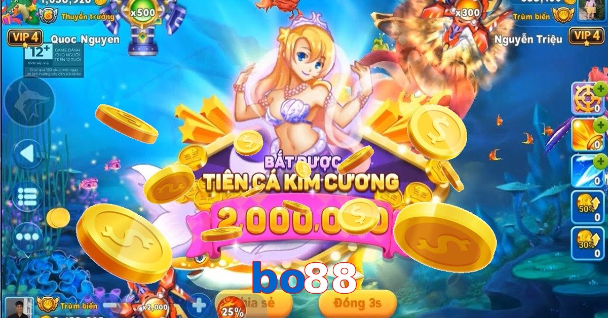 bo88