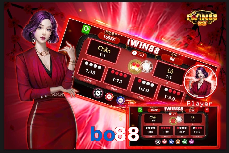 bo88